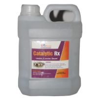 Catalytic Rust